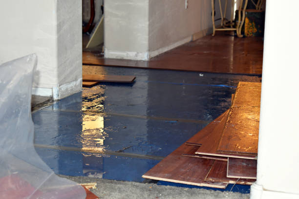 Professional Basement Flood Cleanup technician working in Woodlake, CA